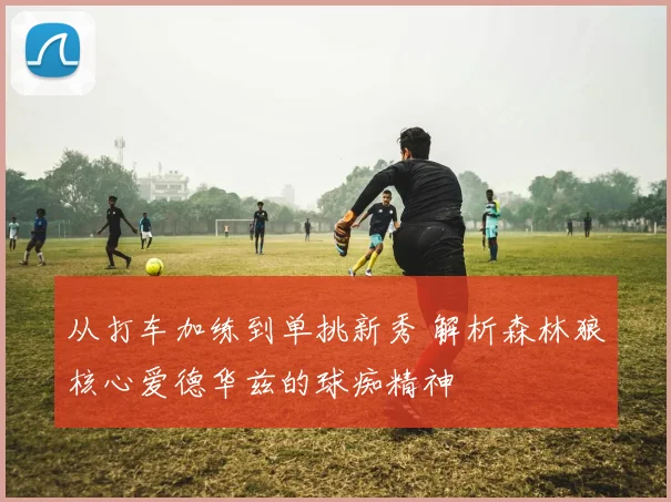 从打车加练到单挑新秀 解析森林狼核心爱德华兹的球痴精神
